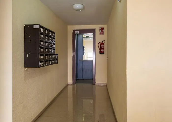 La Plata Vut Le 0614 * 레온